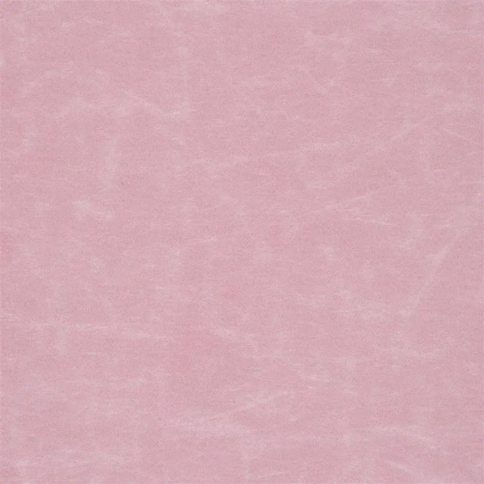 Designers Guild Arizona 29 Sample Sample F1935-29