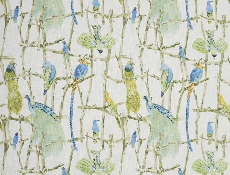 No.9 Thompson Exotic Birds Jungle Fabric Sample N9012330001