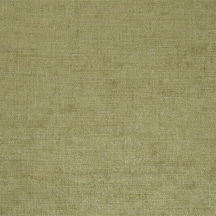 Designers Guild Bilbao Oak Fabric Sample F1560-05