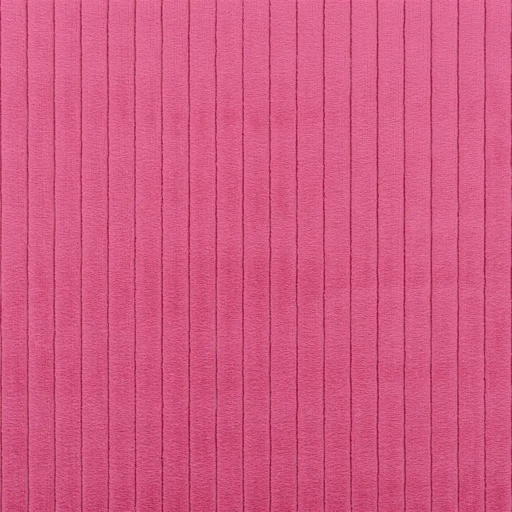 Designers Guild Cassia Cord 21 Sample Sample FDG3003-21