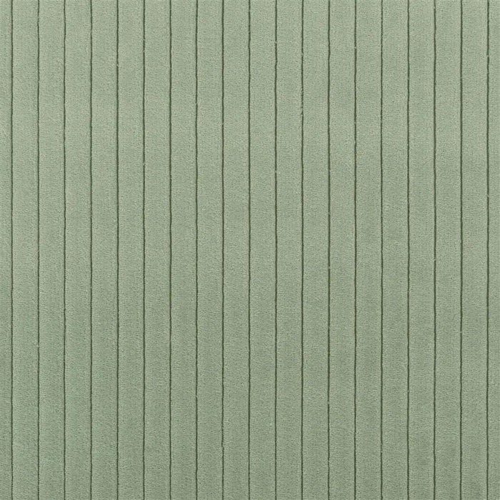 Designers Guild Cassia Cord 10 Sample Sample FDG3003-10
