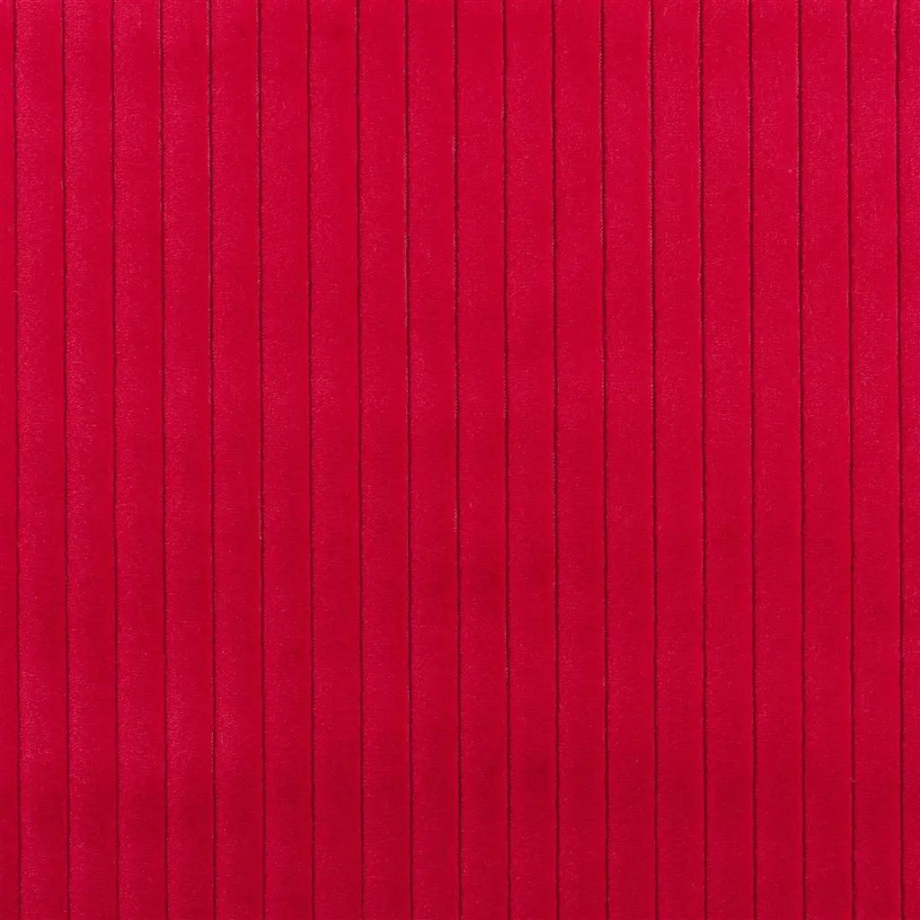 Designers Guild Cassia Cord 19 Sample Sample FDG3003-19
