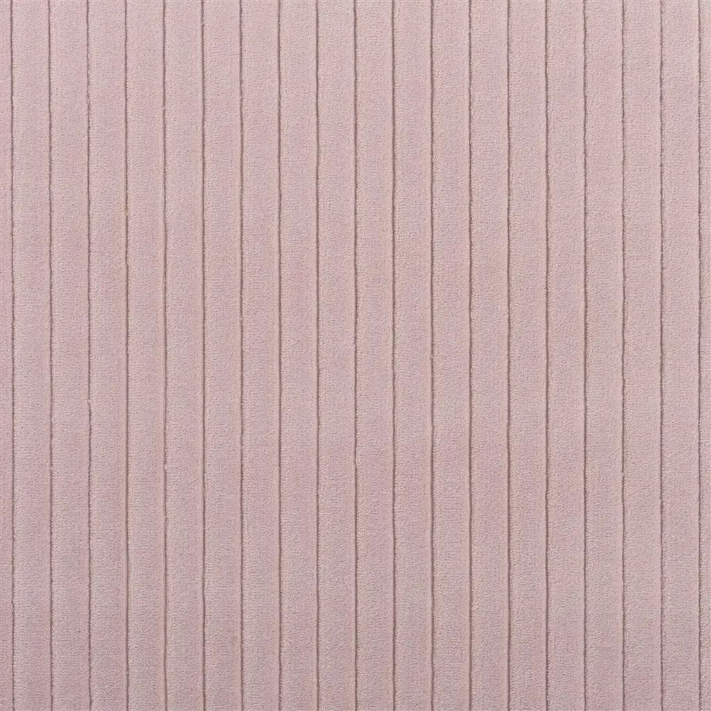 Designers Guild Cassia Cord 23 Sample Sample FDG3003-23