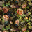 Designers Guild Gertrude Rose 2 Sample Sample FDG3058-02