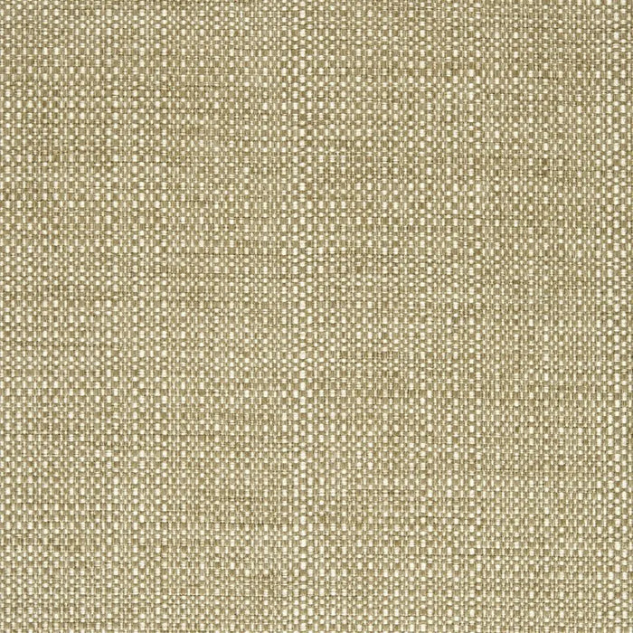 Designers Guild Siracusa Flax Fabric Sample F1950-09