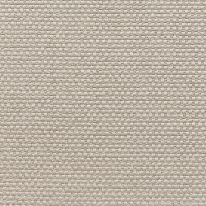 Holly Hunt Great Plains Opposites Attract Champagne Fabric Sample 1504/02