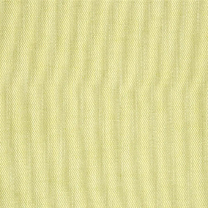 Designers Guild Catania Lime Fabric Sample F1951-13