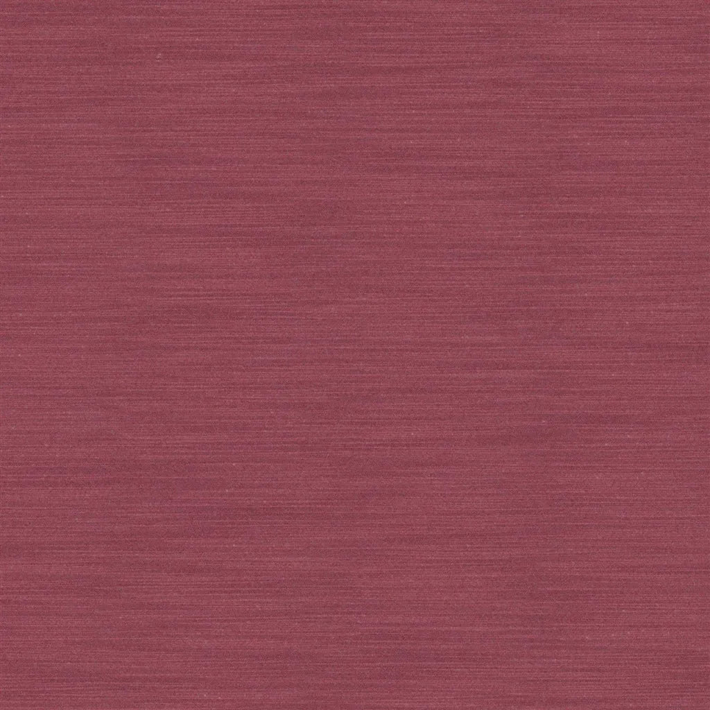 Designers Guild Pampas 58 Sample Sample FDG2163-58