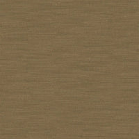 Designers Guild Pampas 65 Fabric FDG2163-65