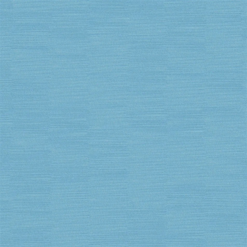 Designers Guild Pampas 71 Sample Sample FDG2163-71