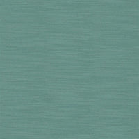 Designers Guild Pampas 70 Fabric FDG2163-70