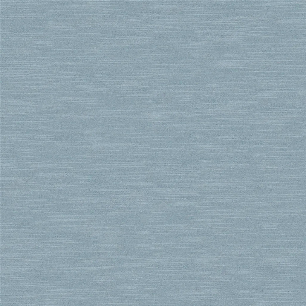 Designers Guild Pampas 73 Sample Sample FDG2163-73