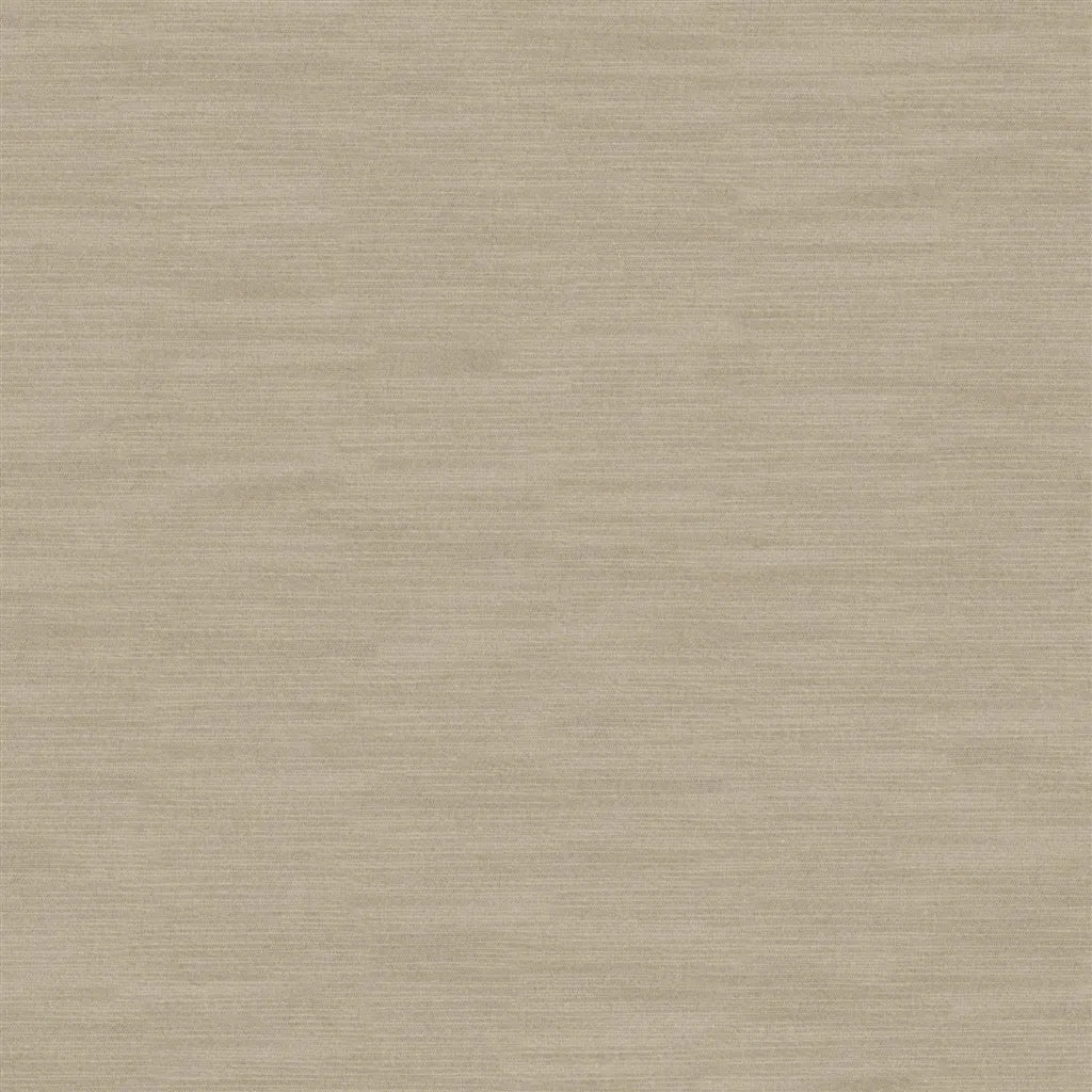 Designers Guild Pampas 75 Sample Sample FDG2163-75