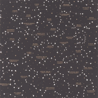 Ralph Lauren Starry Sky Black Wallpaper PRL5041-02