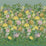 Designers Guild Fleurs D''artistes Panel  1 Wallpaper PDG1170-01