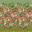 Designers Guild Fleurs D''artistes Panel  2 Wallpaper PDG1170-02