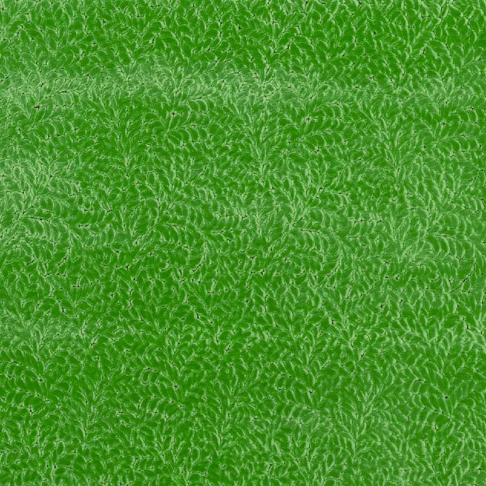 Designers Guild Cartouche 5 Fabric FDG3087-05