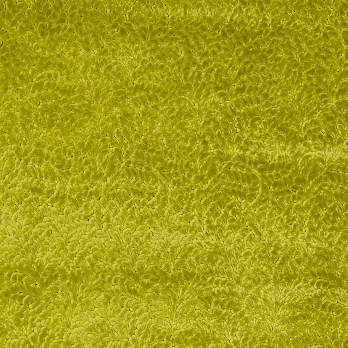 Designers Guild Cartouche 6 Sample Sample FDG3087-06