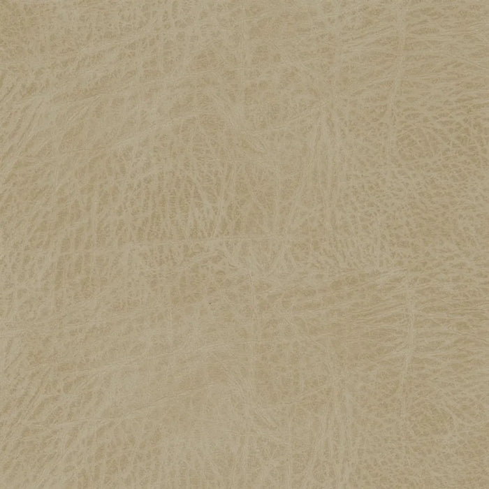 Designers Guild Matara Ultima 3 Sample Sample FDG3104-03