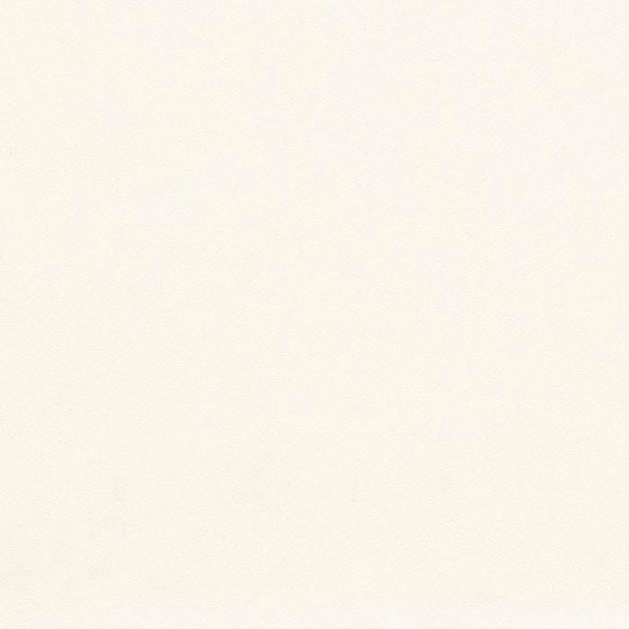 Holly Hunt Great Plains Noble Bleached Fabric Sample 1575/01