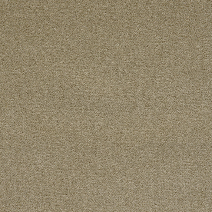 Holly Hunt Great Plains Kashmir Velvet II Warm Natural Fabric 1619/01