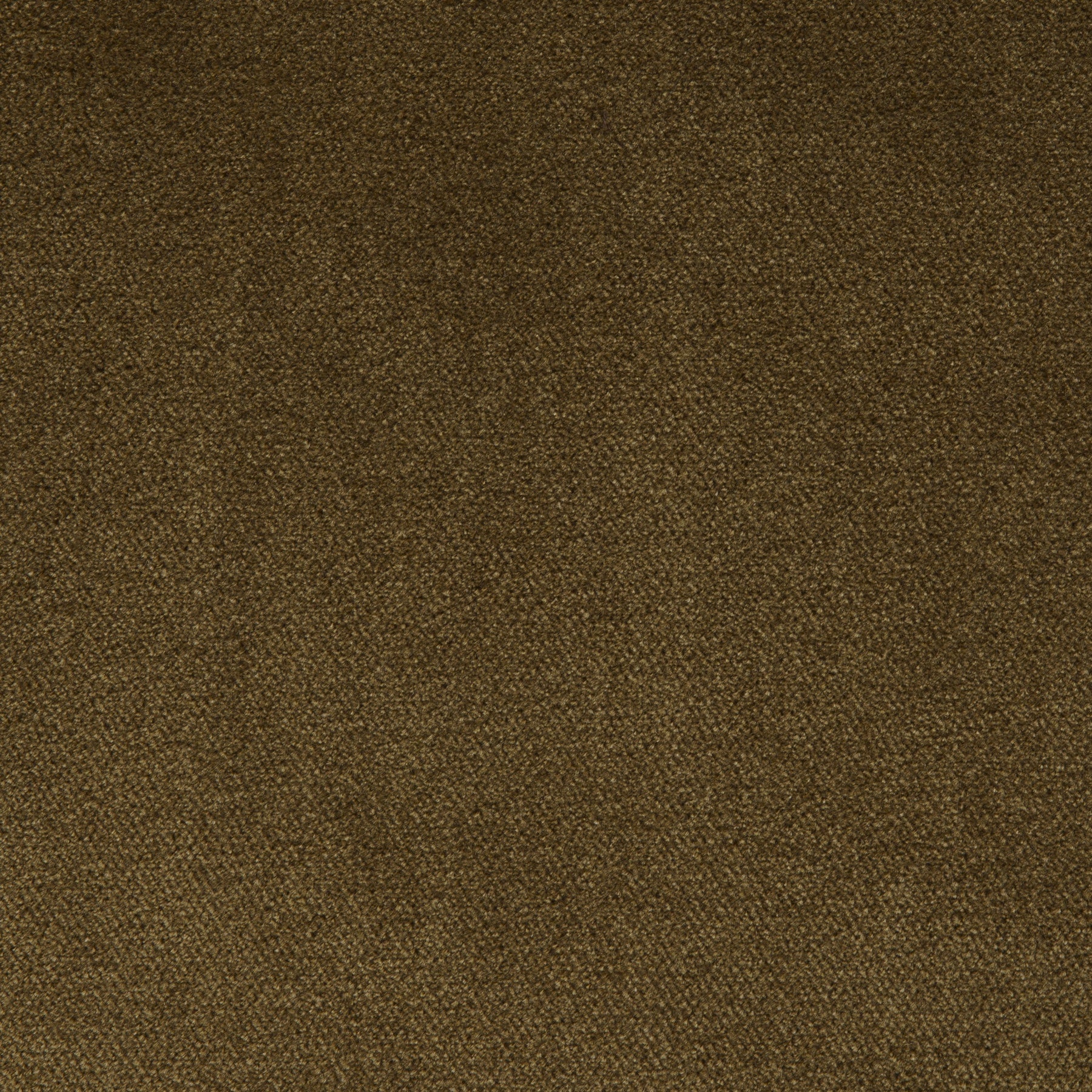 Holly Hunt Great Plains Kashmir Velvet II Bronze Fabric Sample 1619/02