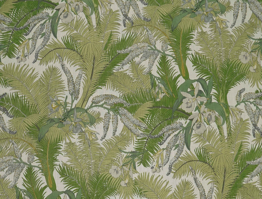 Jim Thompson Areca Palm Rainforest Fabric Sample JT013838002