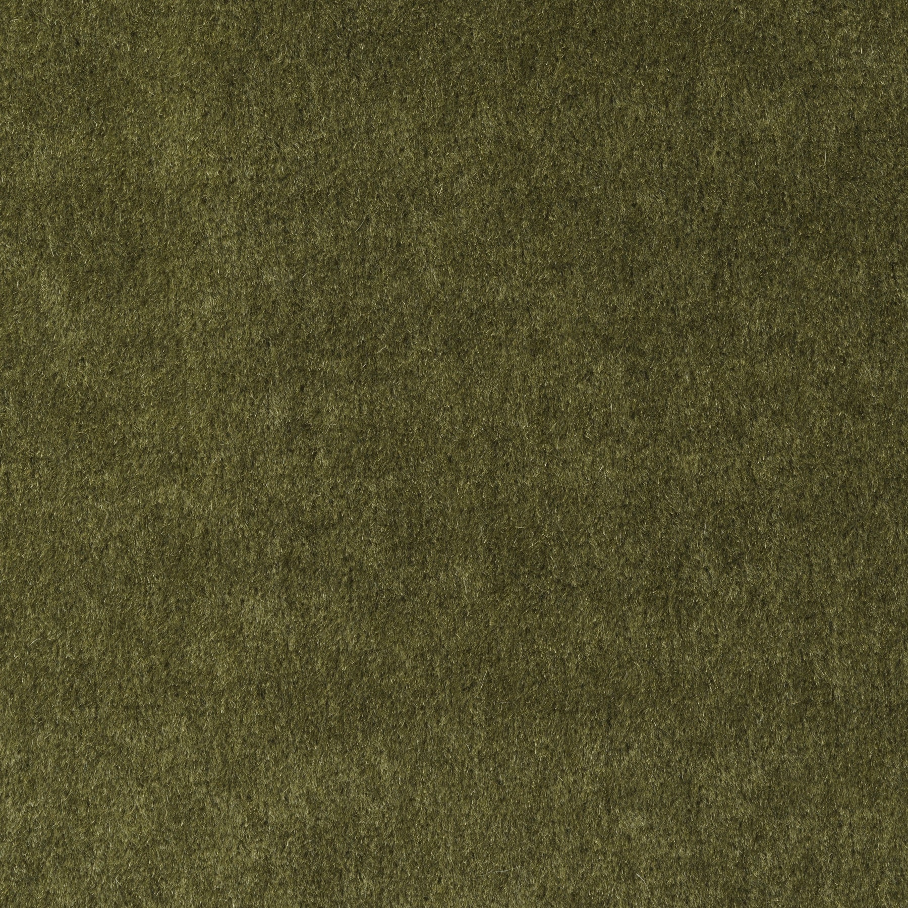 Holly Hunt Great Plains Bello Palm Fabric Sample 1620/10