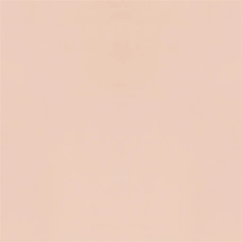 Designers Guild Velluto 64 Sample Sample FDG2705-64