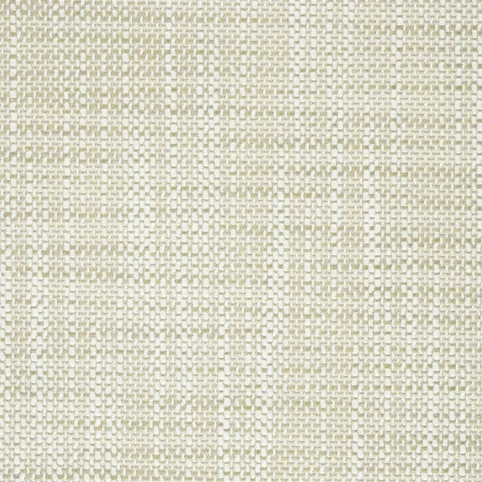 Designers Guild Iona 2 Sample Sample F1989-02