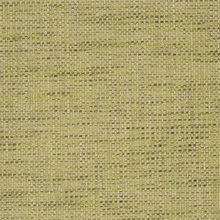 Designers Guild Iona 30 Sample Sample F1989-30