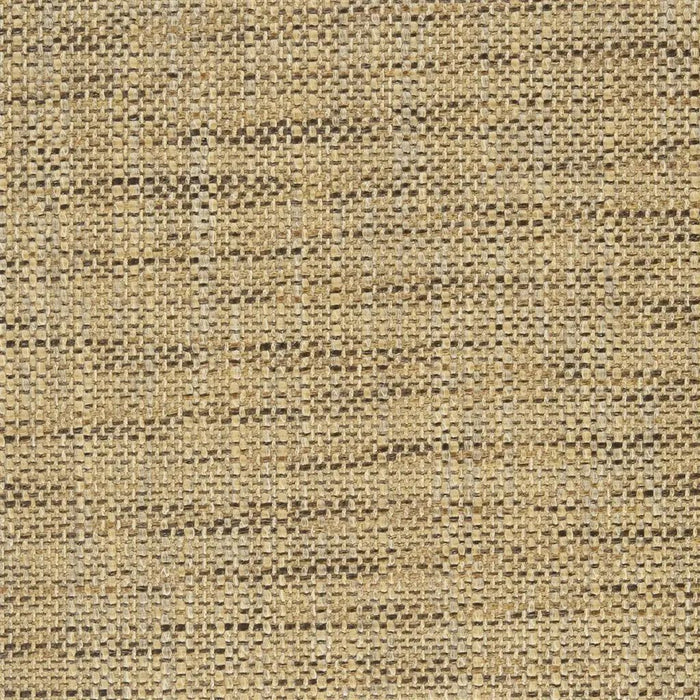 Designers Guild Iona 32 Sample Sample F1989-32