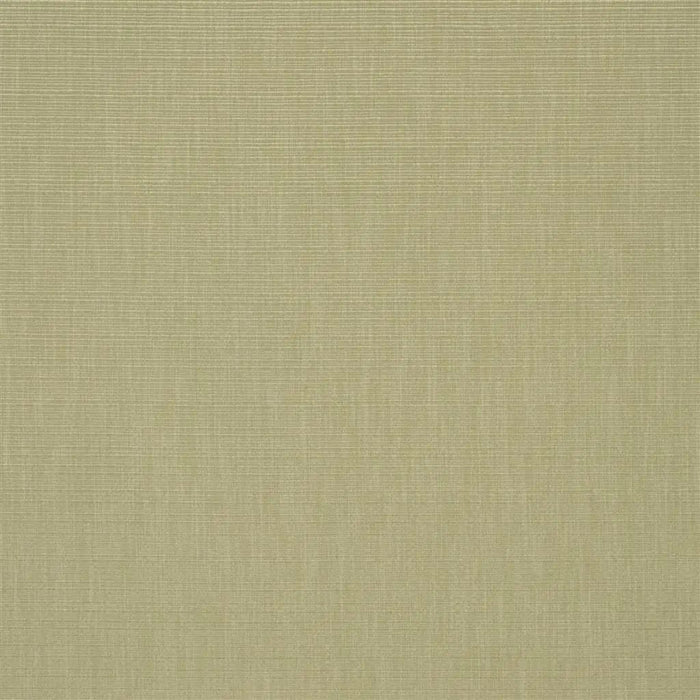 Designers Guild Barra 1 Sample Sample F1990-01