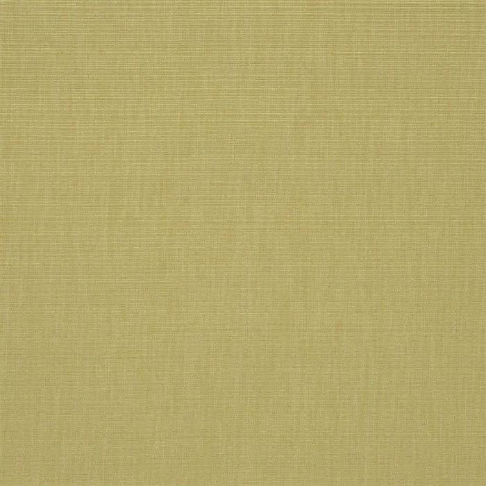 Designers Guild Barra 2 Sample Sample F1990-02