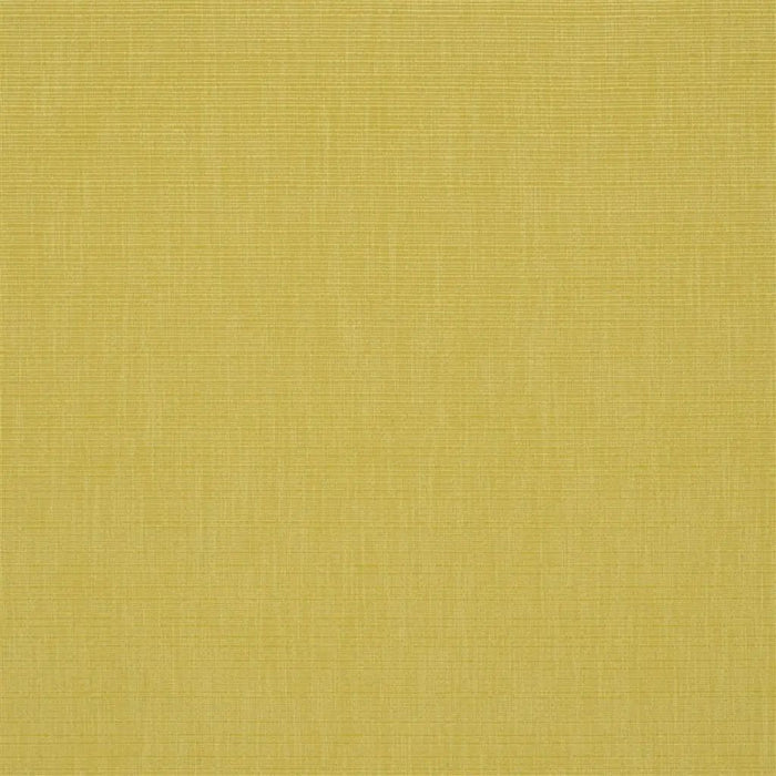 Designers Guild Barra 3 Sample Sample F1990-03