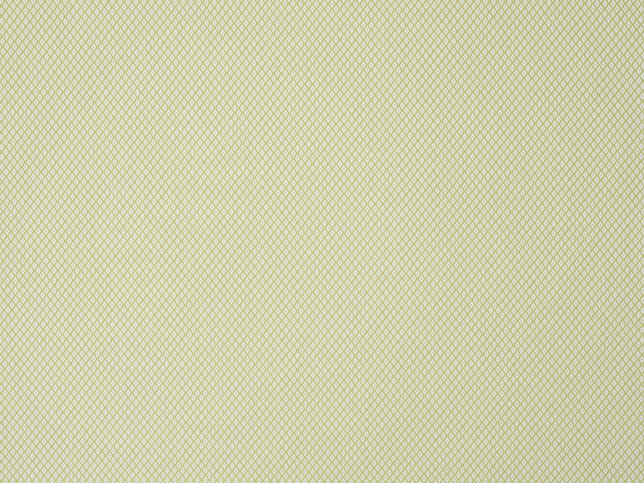 No.9 Thompson Dorothee Kiwi Fabric Sample N9012447007