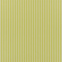 Designers Guild Albemarle Stripe Lime Fabric FDG3212-04
