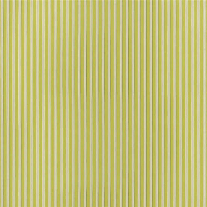 Designers Guild Albemarle Stripe Lime Fabric Sample FDG3212-04