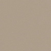 Designers Guild Brinzio Shell Fabric FDG3231-09
