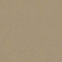Designers Guild Brinzio Flax Fabric FDG3231-01