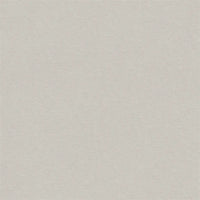 Designers Guild Brinzio Platinum Fabric FDG3231-11