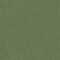 Designers Guild Brinzio Lichen Fabric FDG3231-24