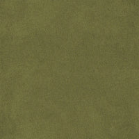 Designers Guild Brinzio Moss Fabric FDG3231-25