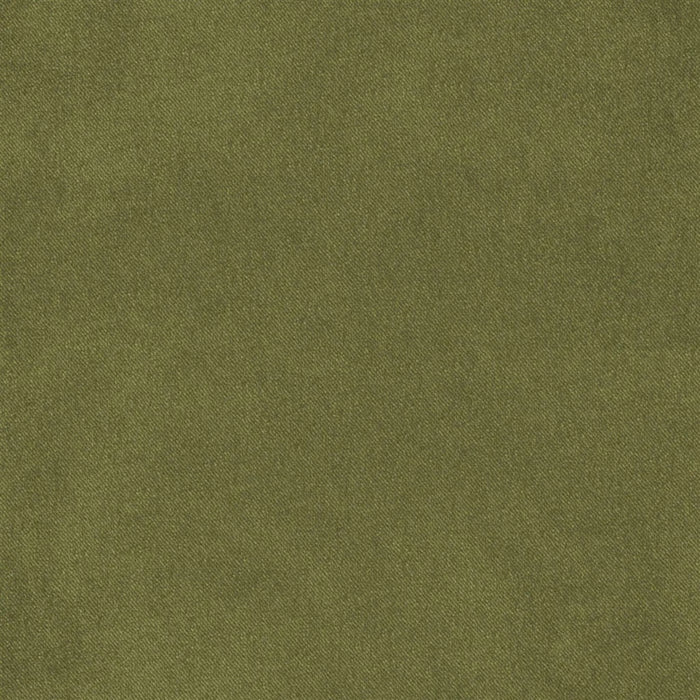 Designers Guild Brinzio Moss Fabric Sample FDG3231-25
