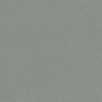 Designers Guild Brinzio Celadon Fabric FDG3231-28