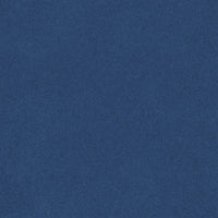 Designers Guild Brinzio Ink Fabric FDG3231-31