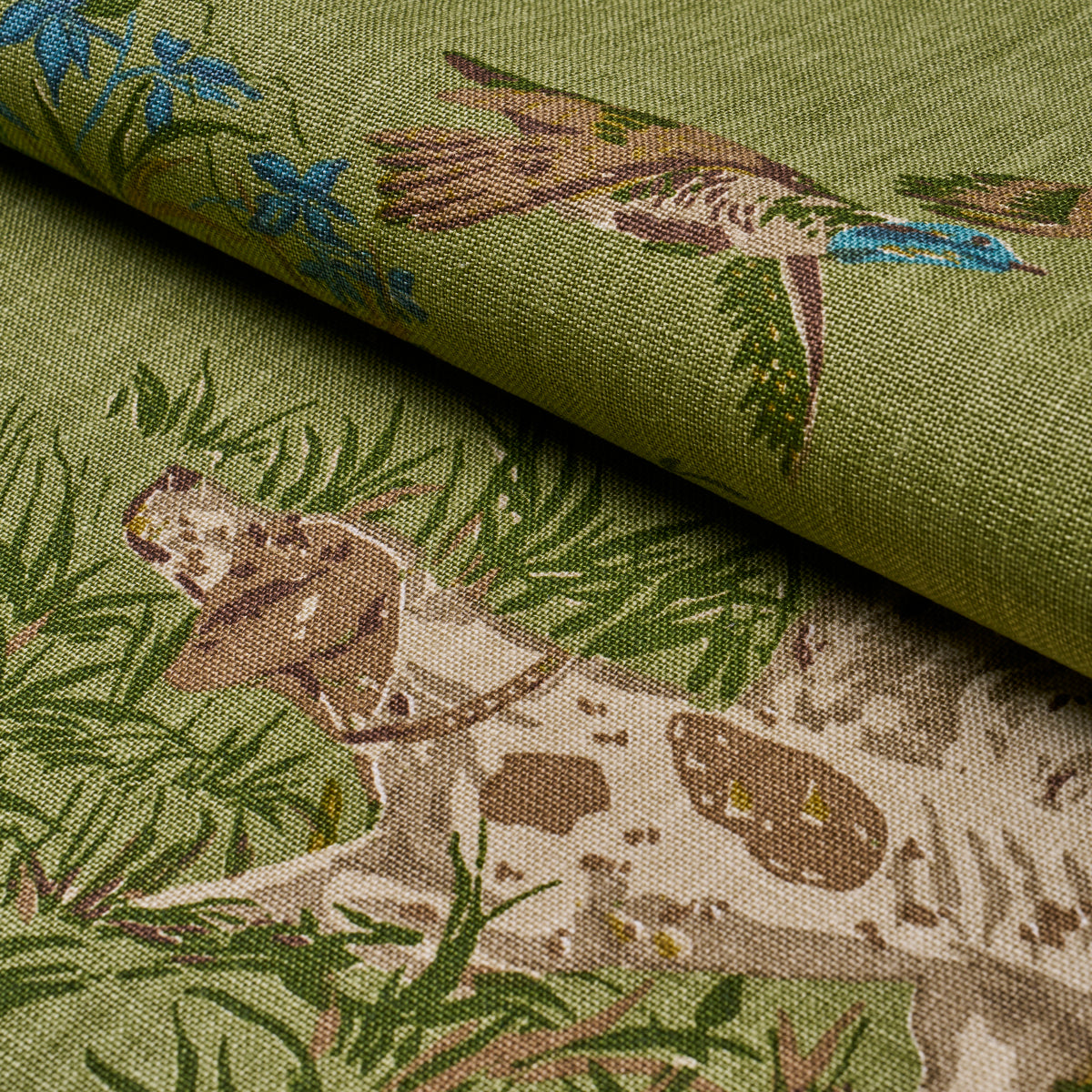 Schumacher Pointers Meadow 175164 Fabric | 40% Off (Samples)