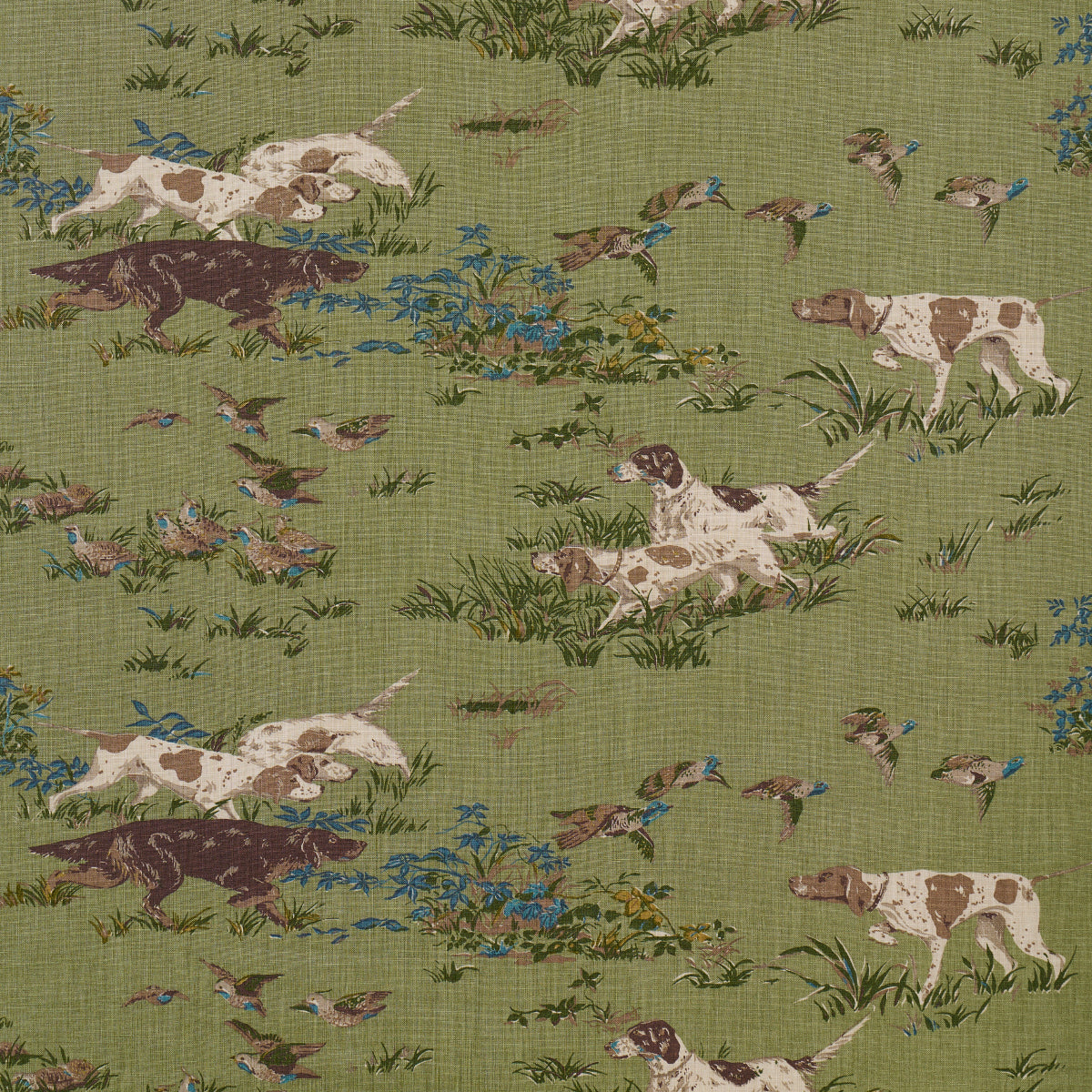 Schumacher Pointers Meadow 175164 Fabric | 40% Off (Samples)