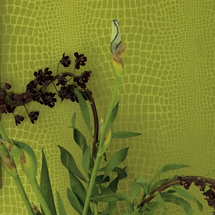 Designers Guild Pietra Ecru Wallpaper Sample P544-03