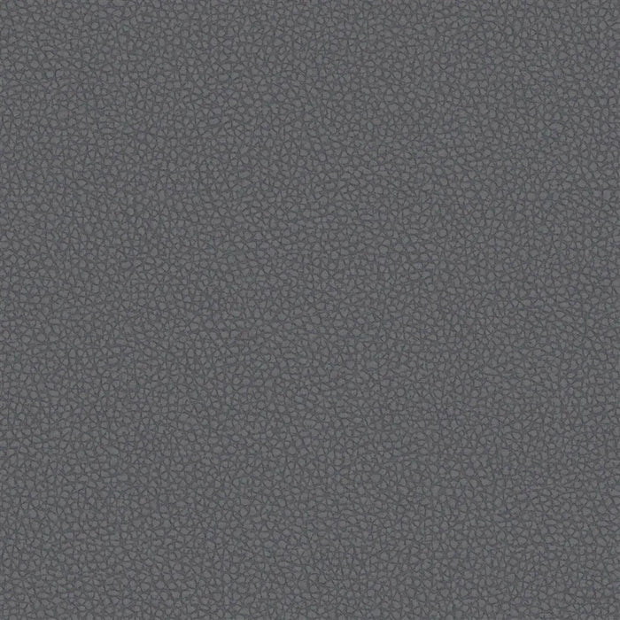 Designers Guild Matara Eco Noir Fabric FDG3233-10